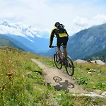 Sud - Balme 306 - Happy * Chamonix